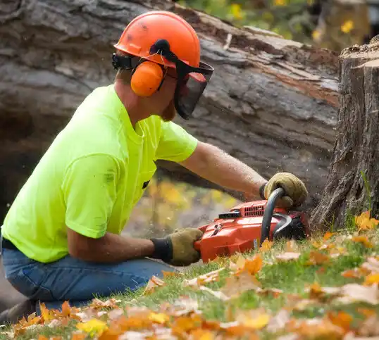 tree services Sixteen Mile Stand